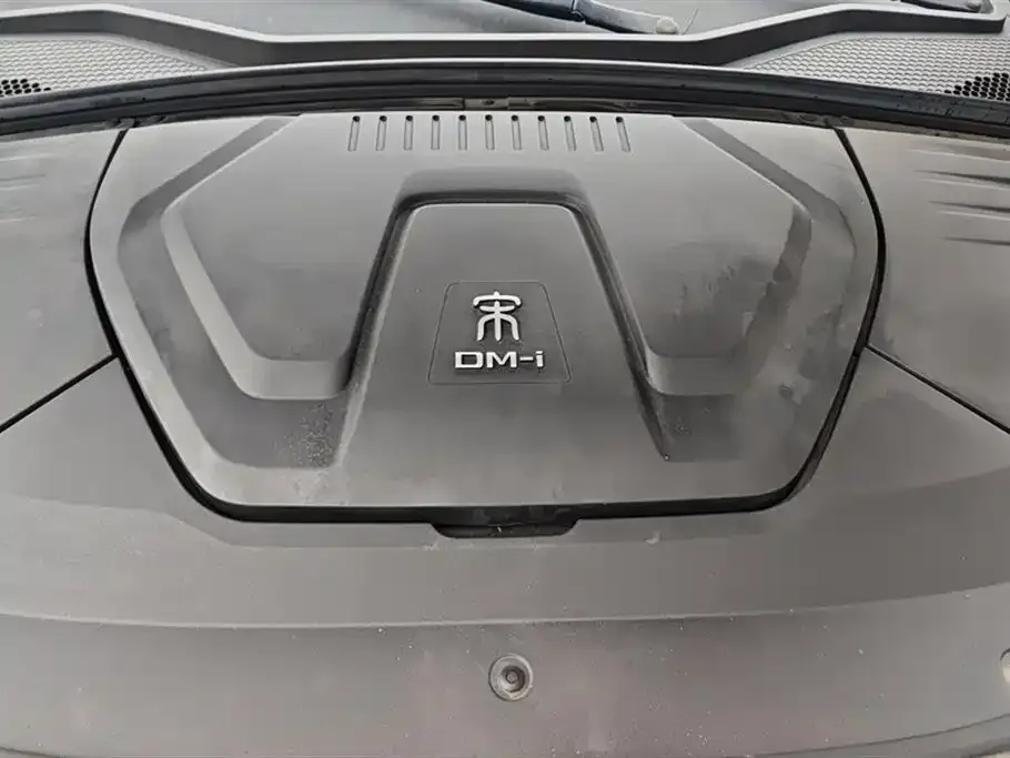BYD PLUS New Energy 2022 из CN, фото 4