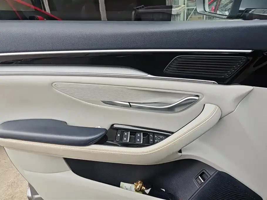 BYD PLUS New Energy 2022 из CN, фото 3