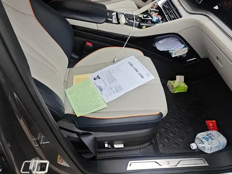 BYD PLUS New Energy 2022 из CN, фото 7