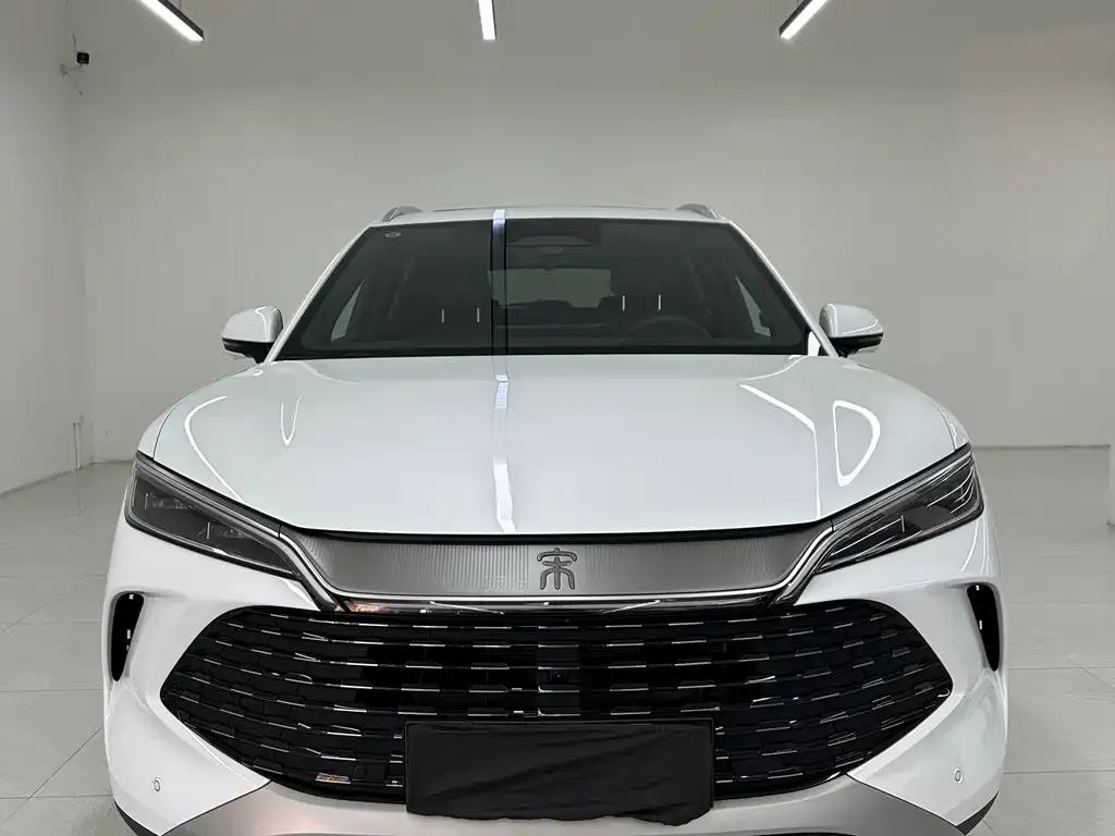 BYD L DM-i — фото 6