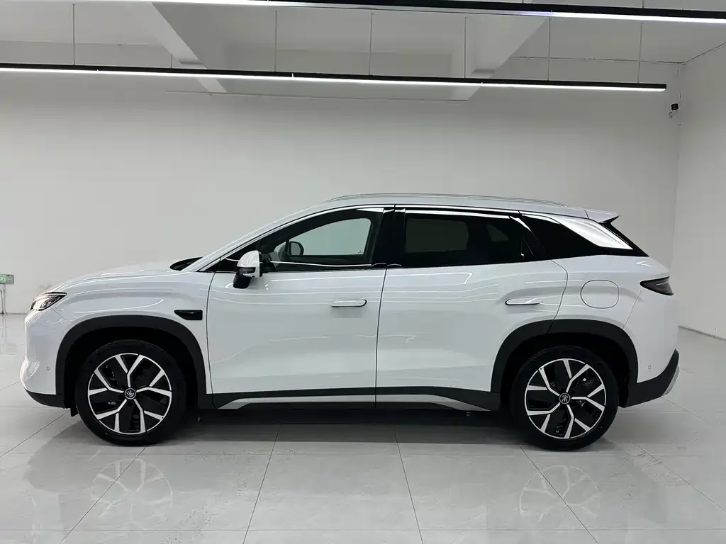 BYD L DM-i — фото 4