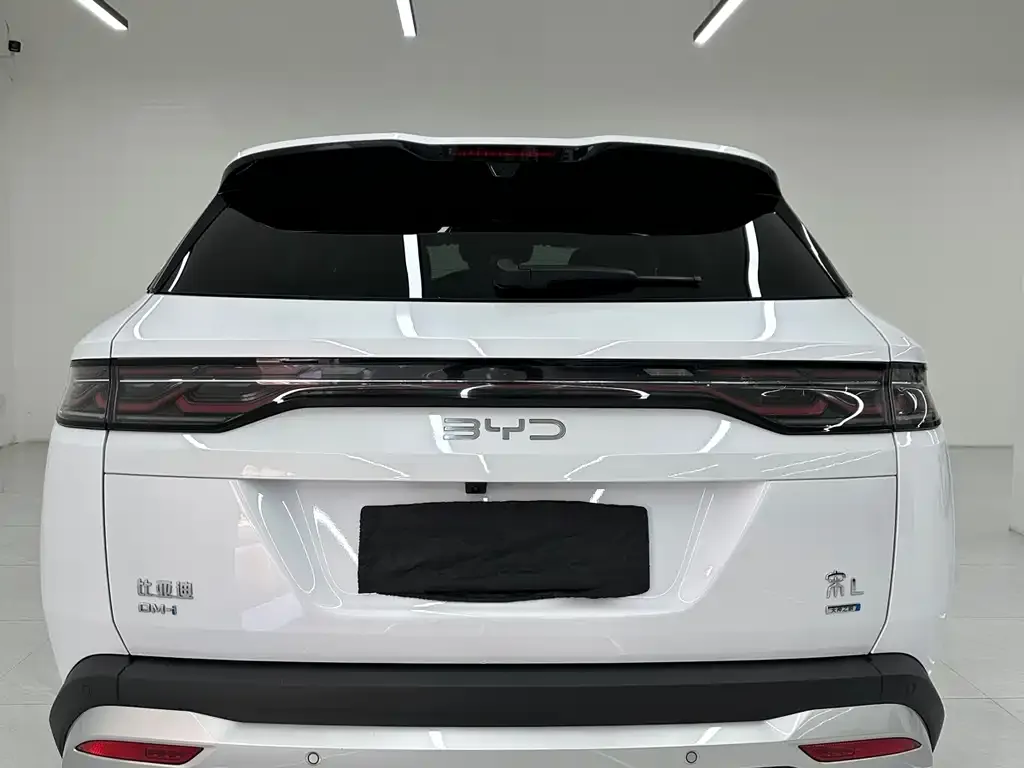 BYD L DM-i — фото 2