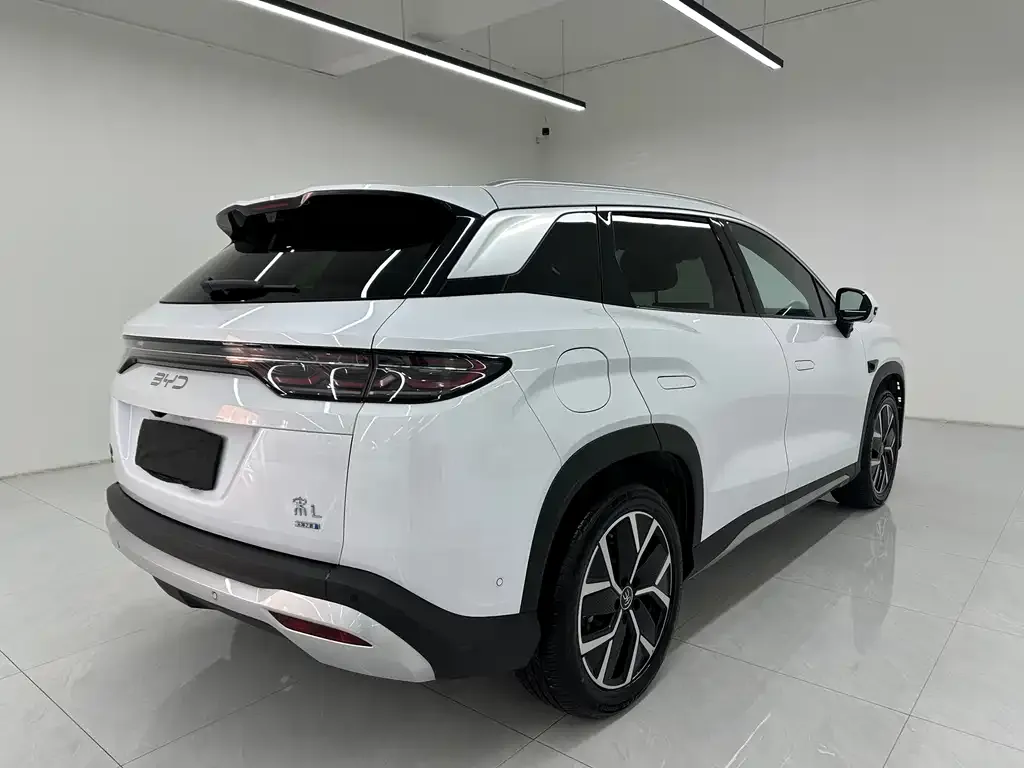 BYD L DM-i — фото 9