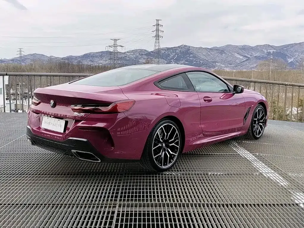 BMW 8 Series 2025 из CN, фото 8
