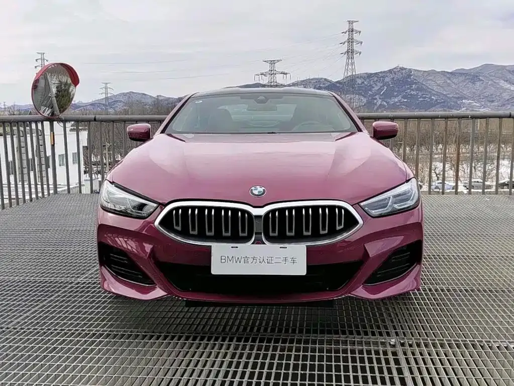 BMW 8 Series 2025 из CN, фото 9