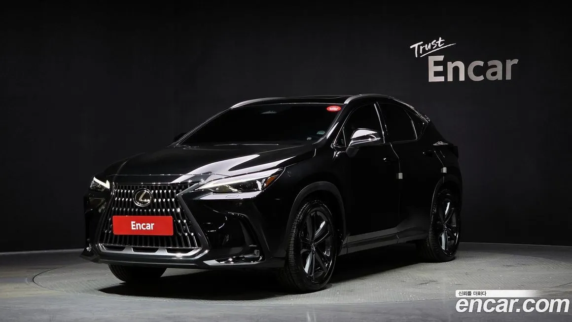 Lexus NX 2025 из KR, фото 1