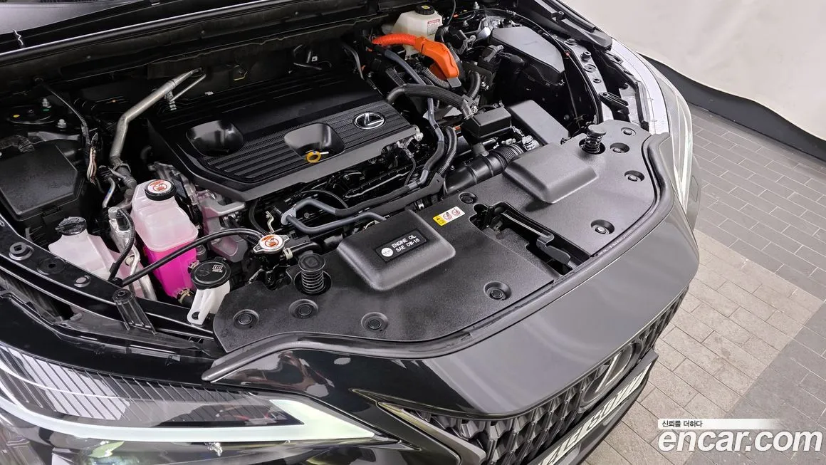 Lexus NX 2025 из KR, фото 9