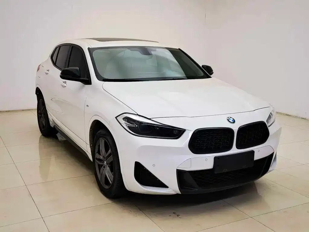 BMW X2 2023 из CN, фото 10