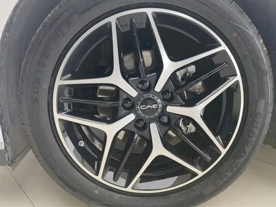 BYD Seal 06 2025 из CN, фото 8