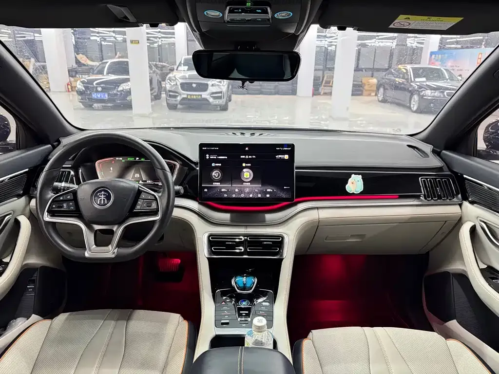 BYD PLUS New Energy 2023 из CN, фото 10