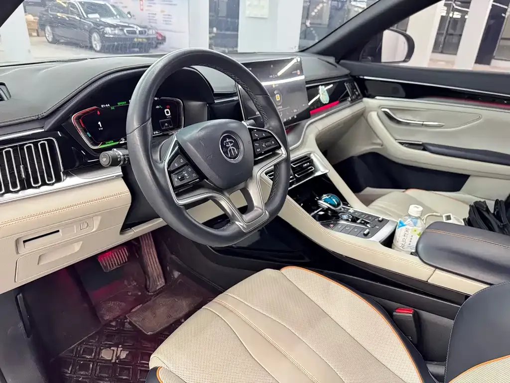 BYD PLUS New Energy 2023 из CN, фото 7