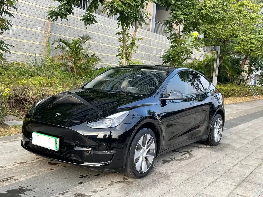 Tesla Model Y 2023 из CN, фото 1