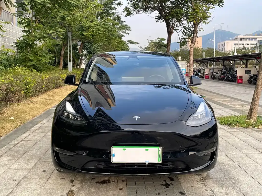 Tesla Model Y 2023 из CN, фото 6