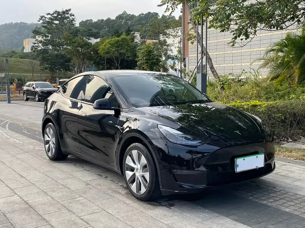 Tesla Model Y 2023 из CN, фото 4
