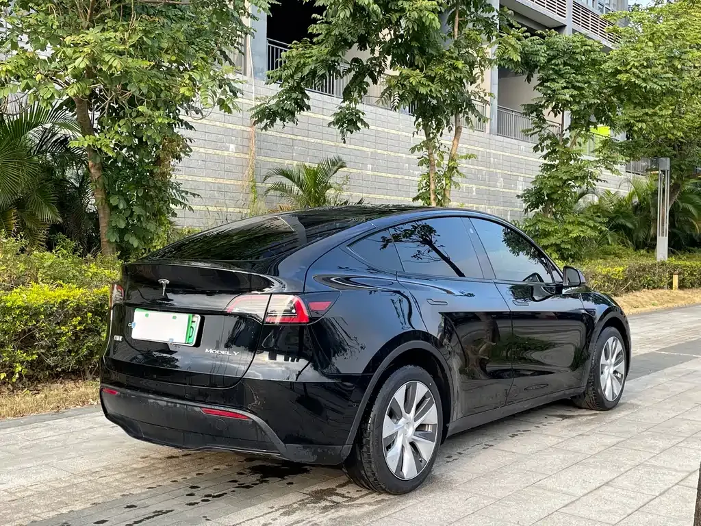 Tesla Model Y 2023 из CN, фото 9
