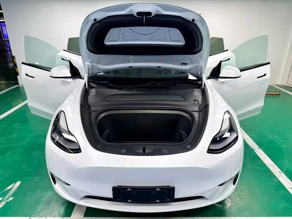 Tesla Model Y — фото 2