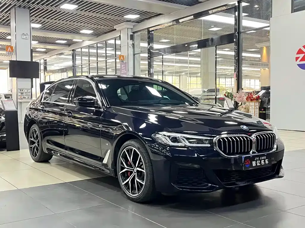 BMW 5 Series 2023 из CN, фото 7