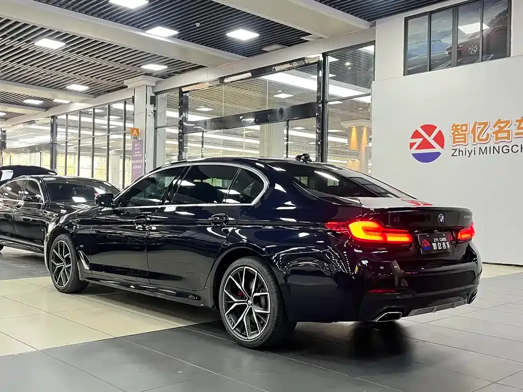 BMW 5 Series 2023 из CN, фото 4