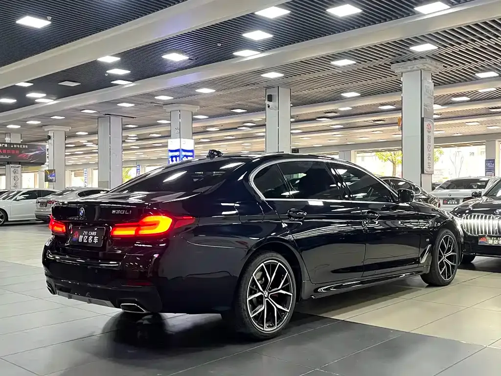 BMW 5 Series 2023 из CN, фото 6