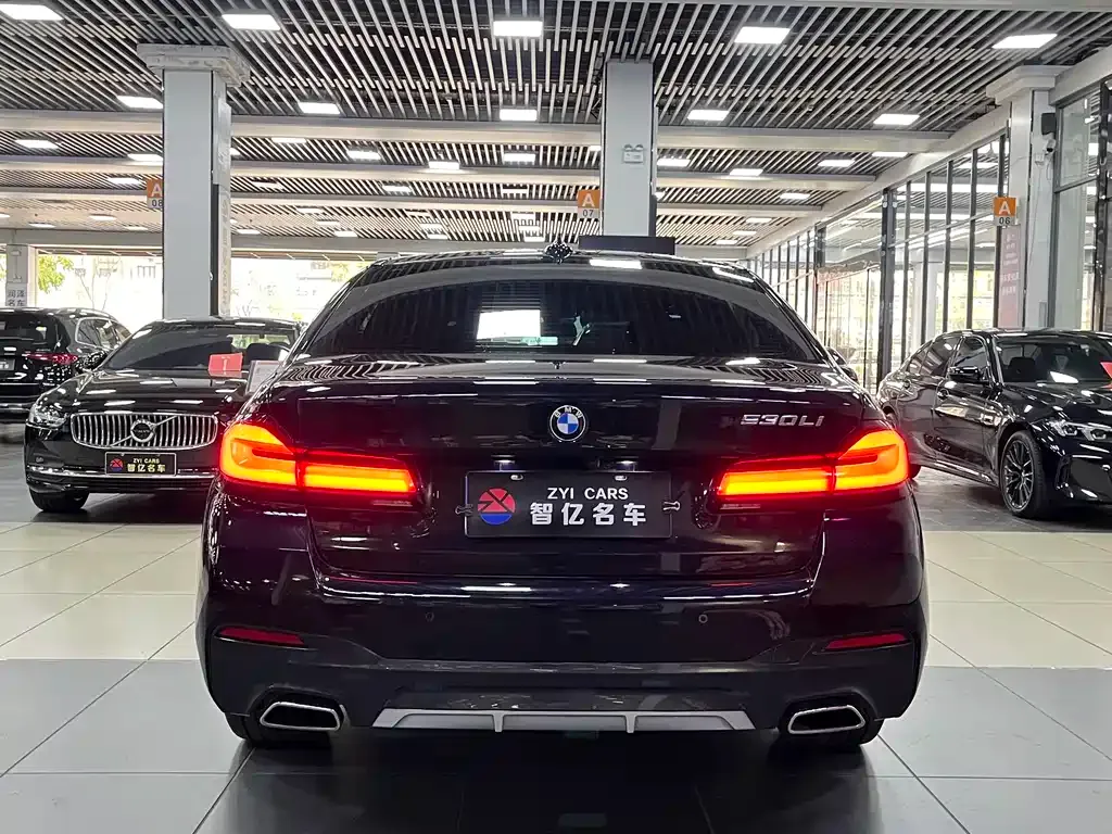 BMW 5 Series 2023 из CN, фото 9