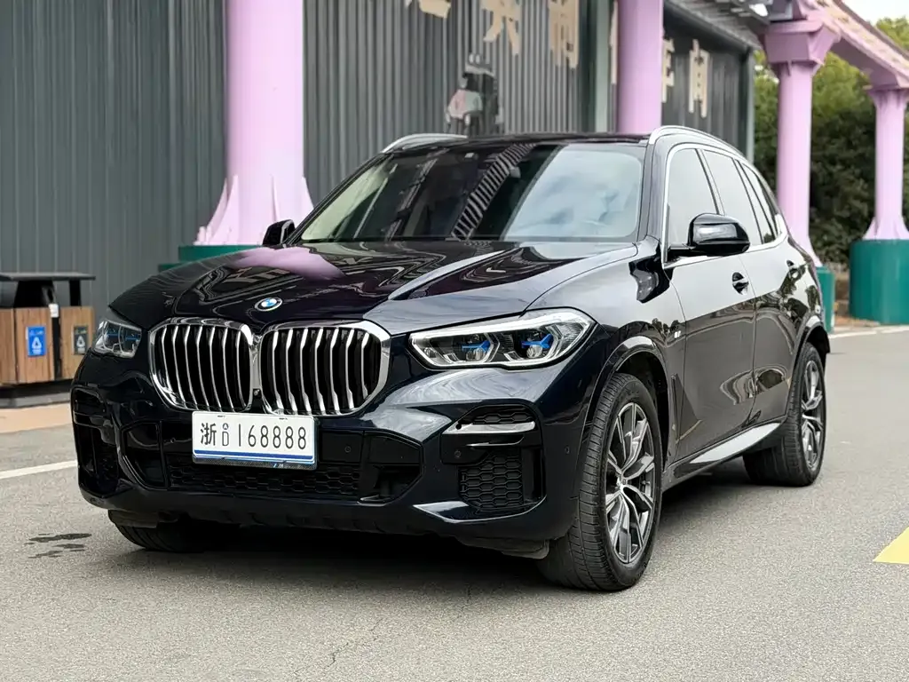 BMW X5 (Import) 2022 из CN, фото 1