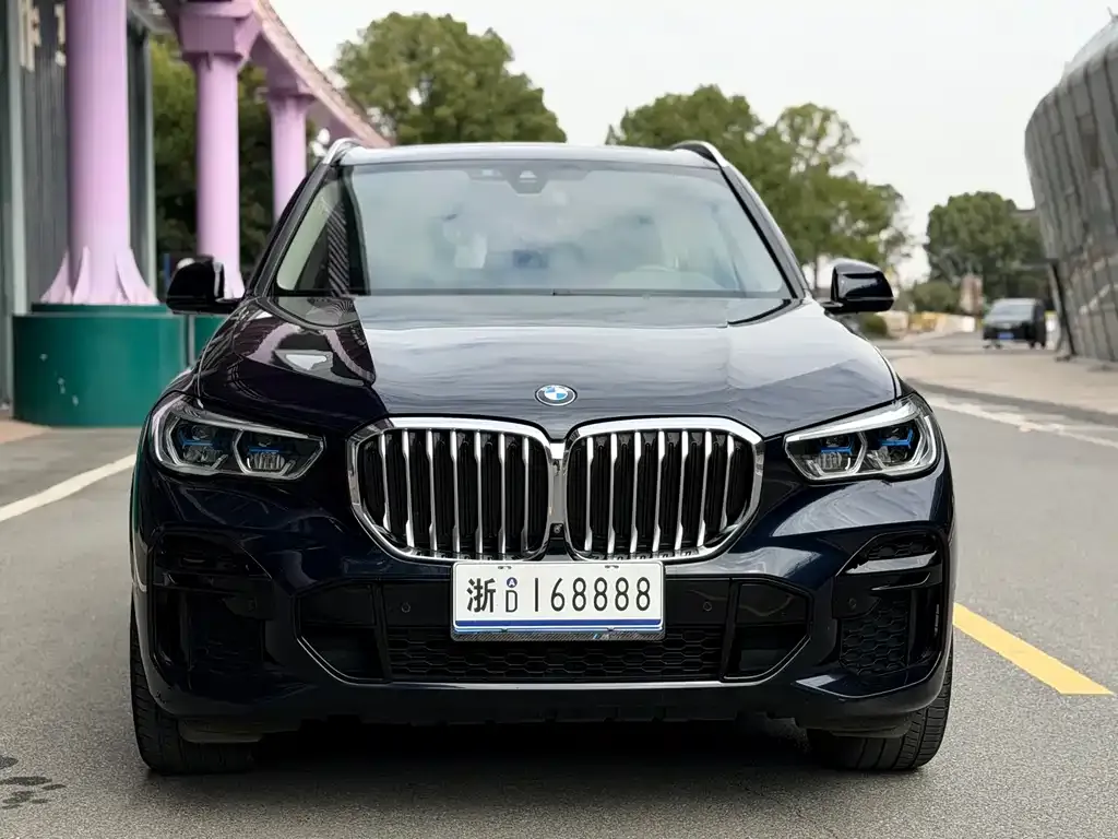 BMW X5 (Import) 2022 из CN, фото 3