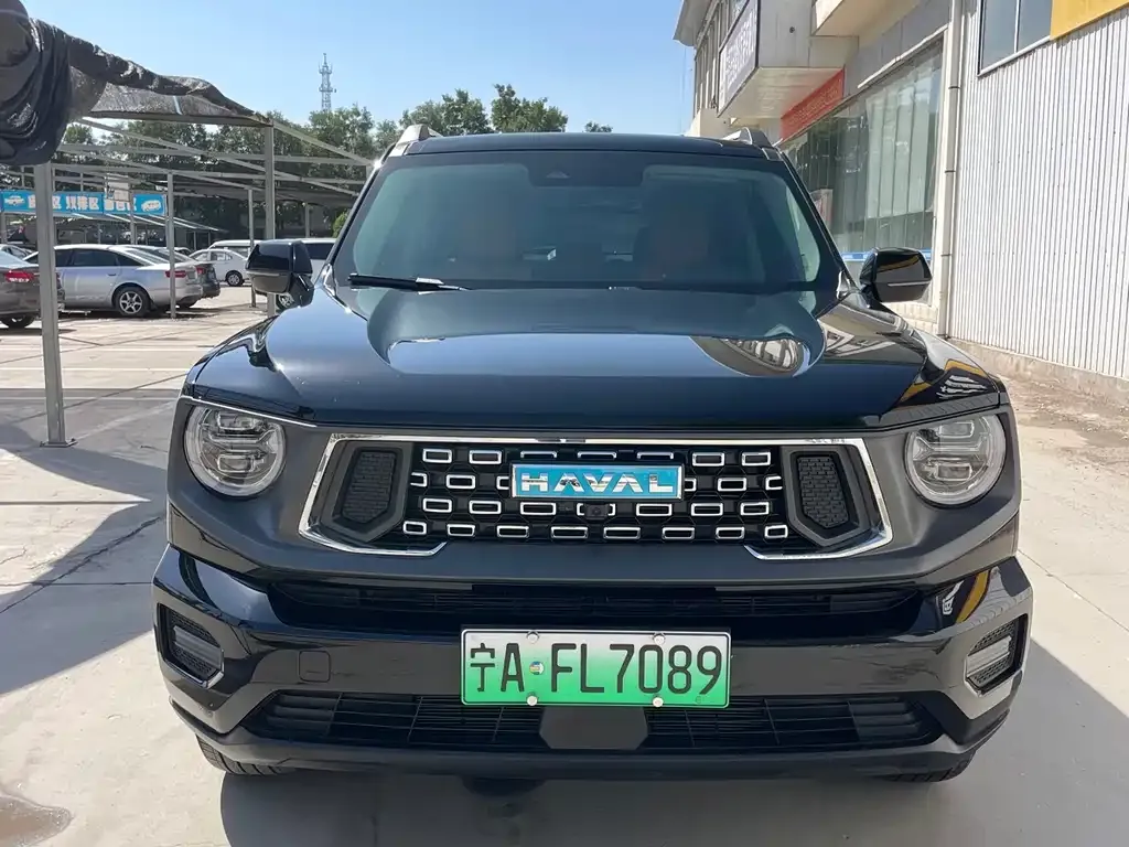 Haval H7 (Big Dog Plus) New Energy — фото 7
