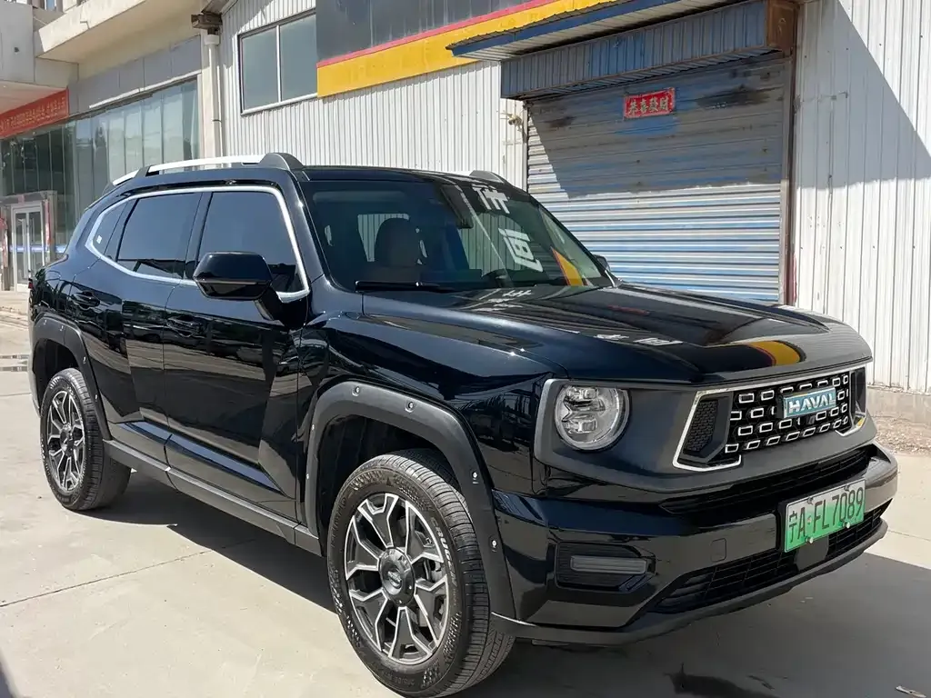 Haval H7 (Big Dog Plus) New Energy — фото 6