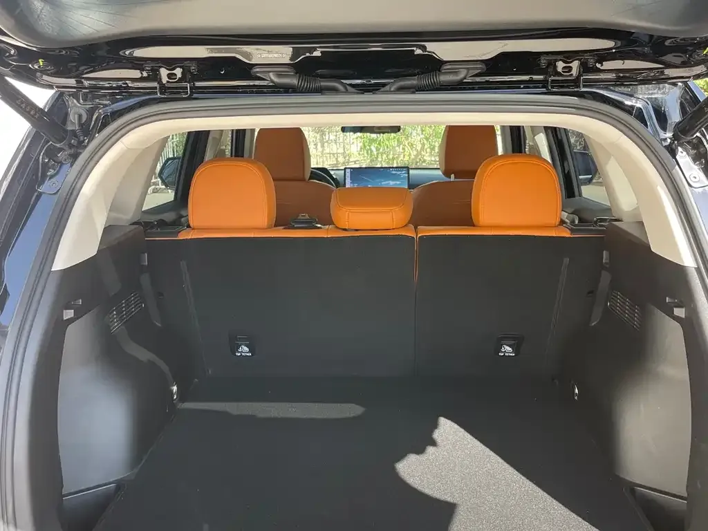 Haval H7 (Big Dog Plus) New Energy — фото 9