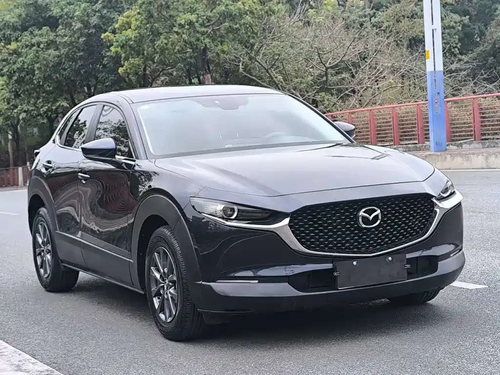 Mazda CX-30 2021 из CN, фото 9
