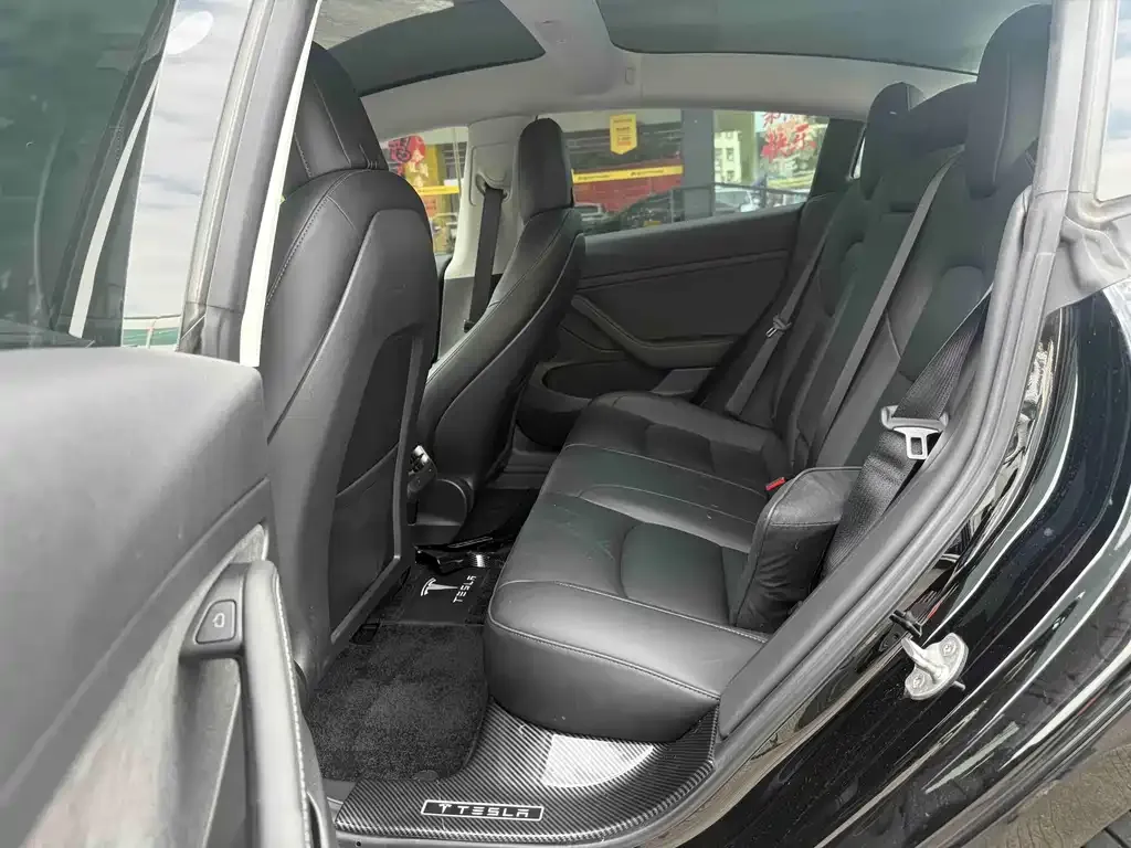 Tesla Model 3 2021 из CN, фото 4