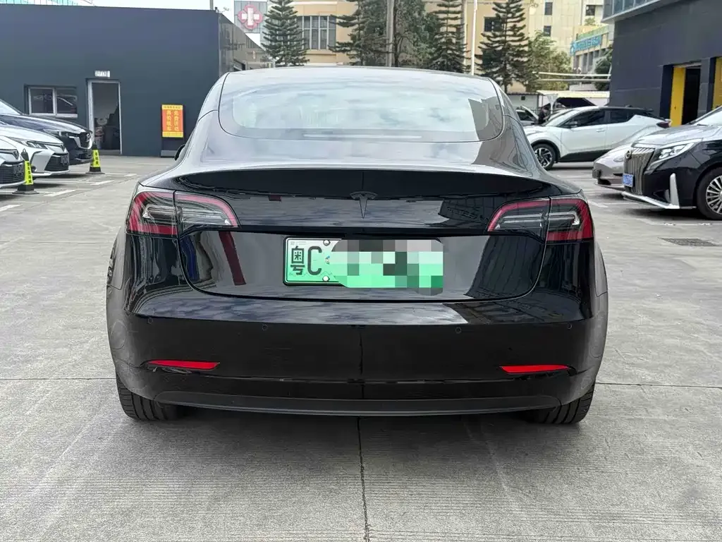 Tesla Model 3 2021 из CN, фото 2