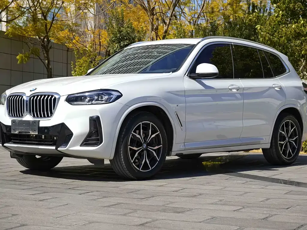 BMW X3 — фото 8