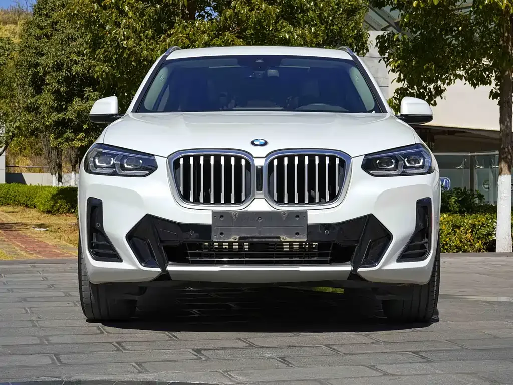 BMW X3 — фото 6