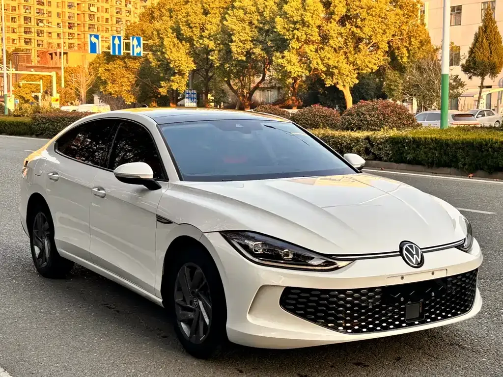 Volkswagen Lamando 2024 из CN, фото 9