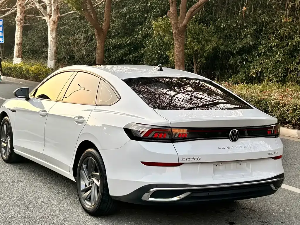 Volkswagen Lamando 2024 из CN, фото 8