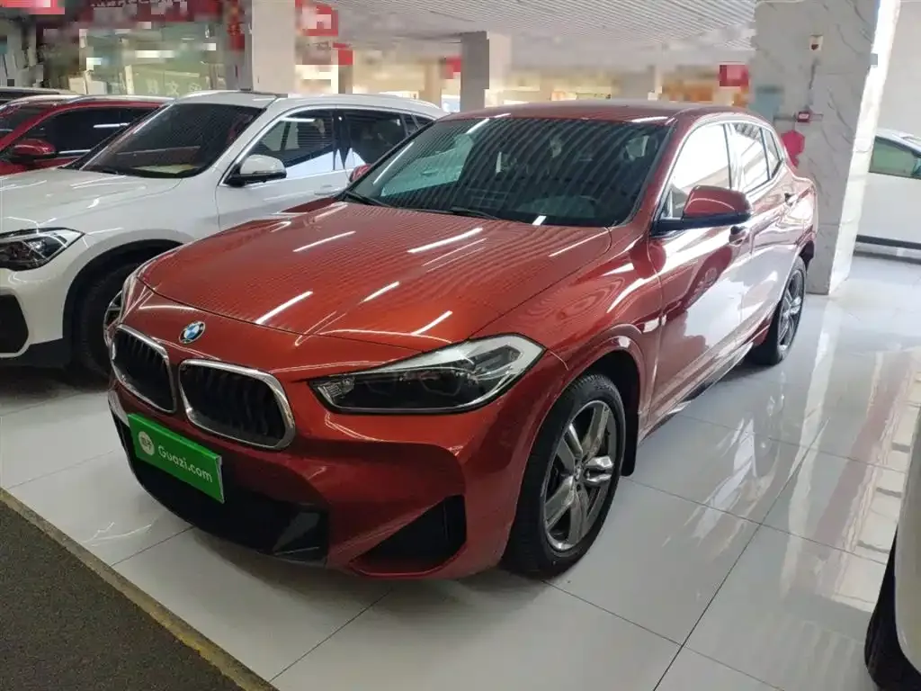 BMW X2 2022 из CN, фото 4