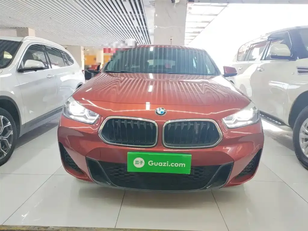 BMW X2 2022 из CN, фото 3