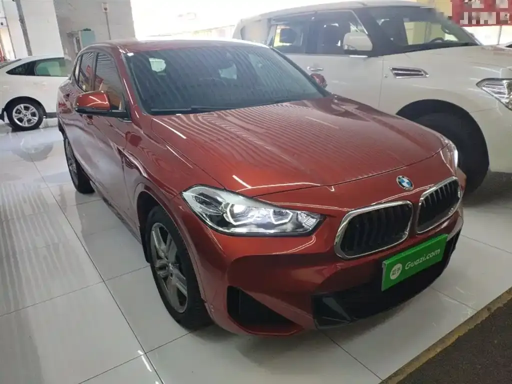 BMW X2 2022 из CN, фото 8