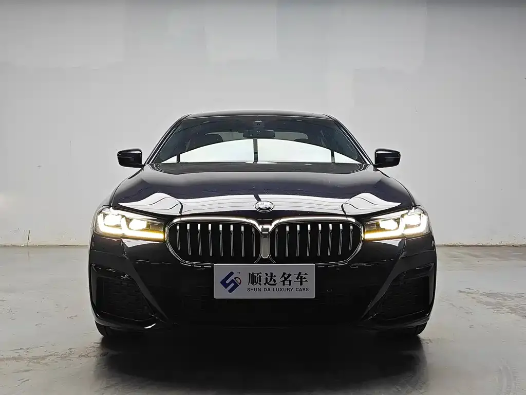 BMW 5 Series 2021 из CN, фото 1