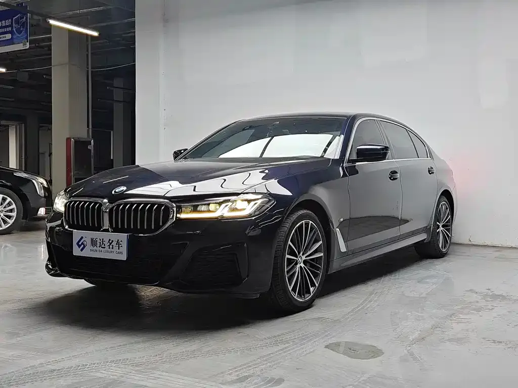 BMW 5 Series 2021 из CN, фото 9