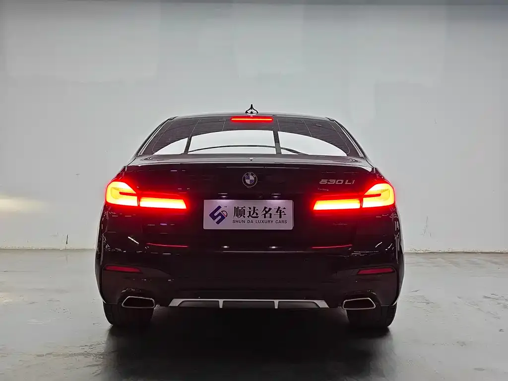 BMW 5 Series 2021 из CN, фото 2