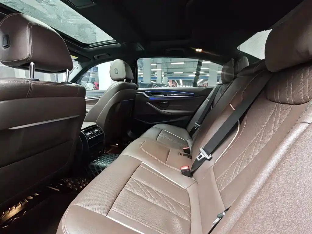 BMW 5 Series 2021 из CN, фото 3