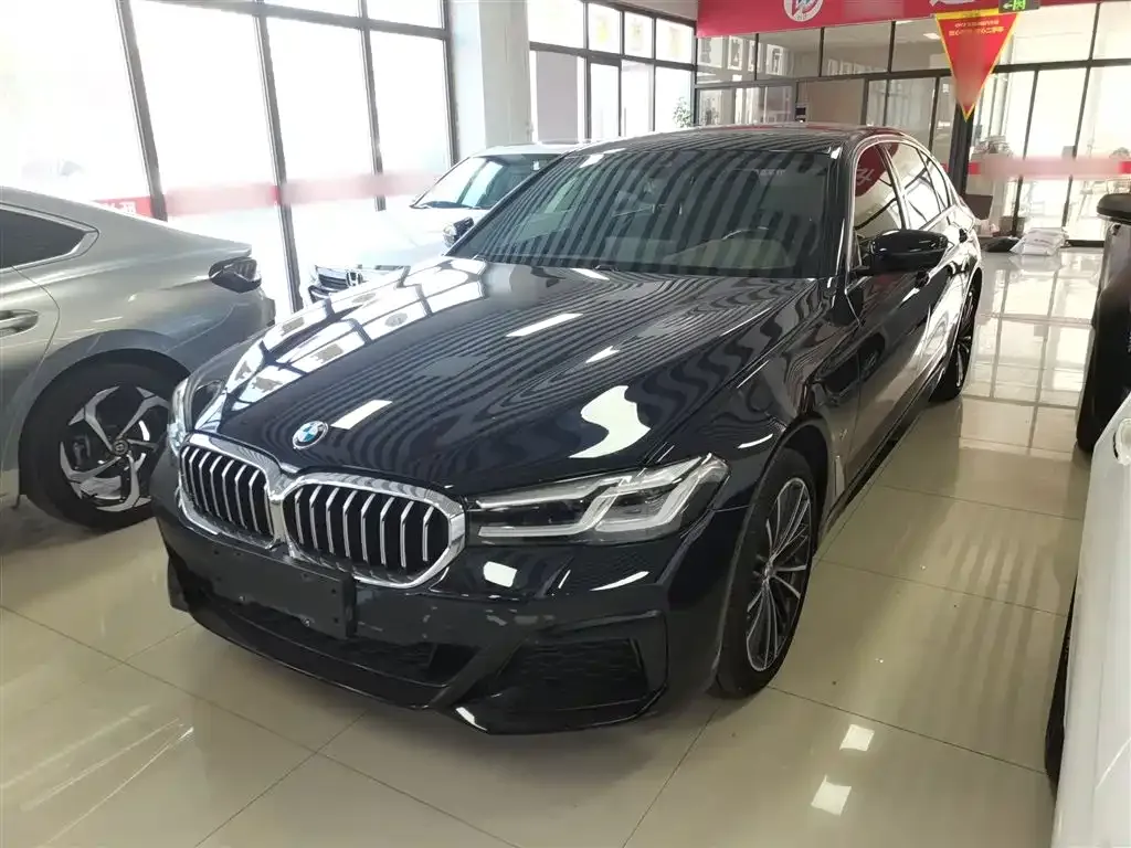 BMW 5 Series 2022 из CN, фото 1
