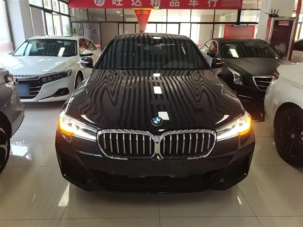 BMW 5 Series 2022 из CN, фото 3