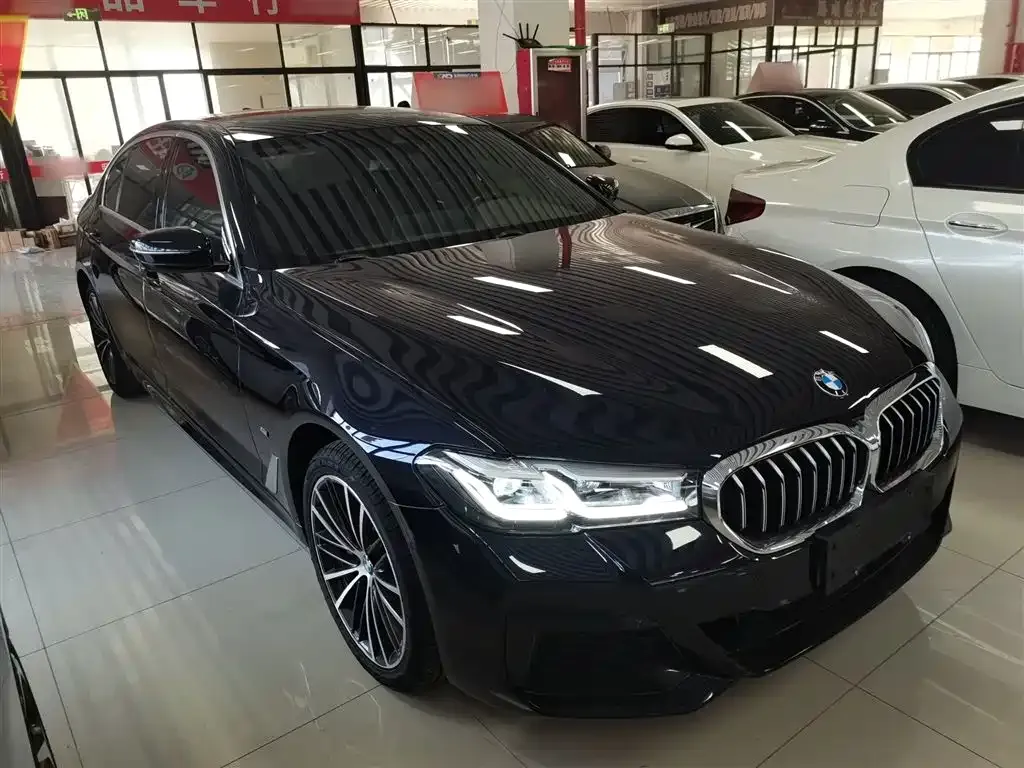 BMW 5 Series 2022 из CN, фото 10