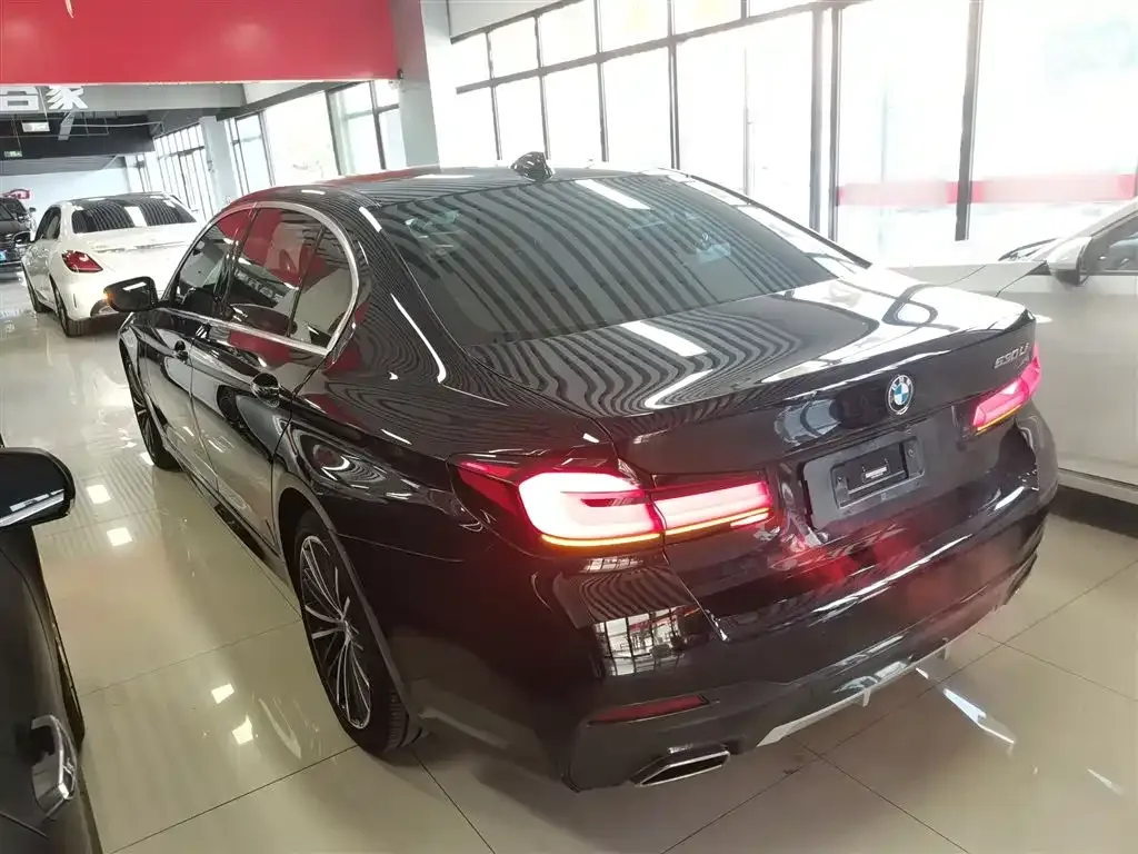 BMW 5 Series 2022 из CN, фото 8