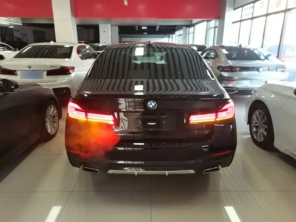 BMW 5 Series 2022 из CN, фото 9