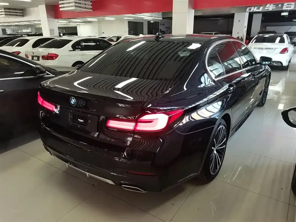 BMW 5 Series 2022 из CN, фото 5