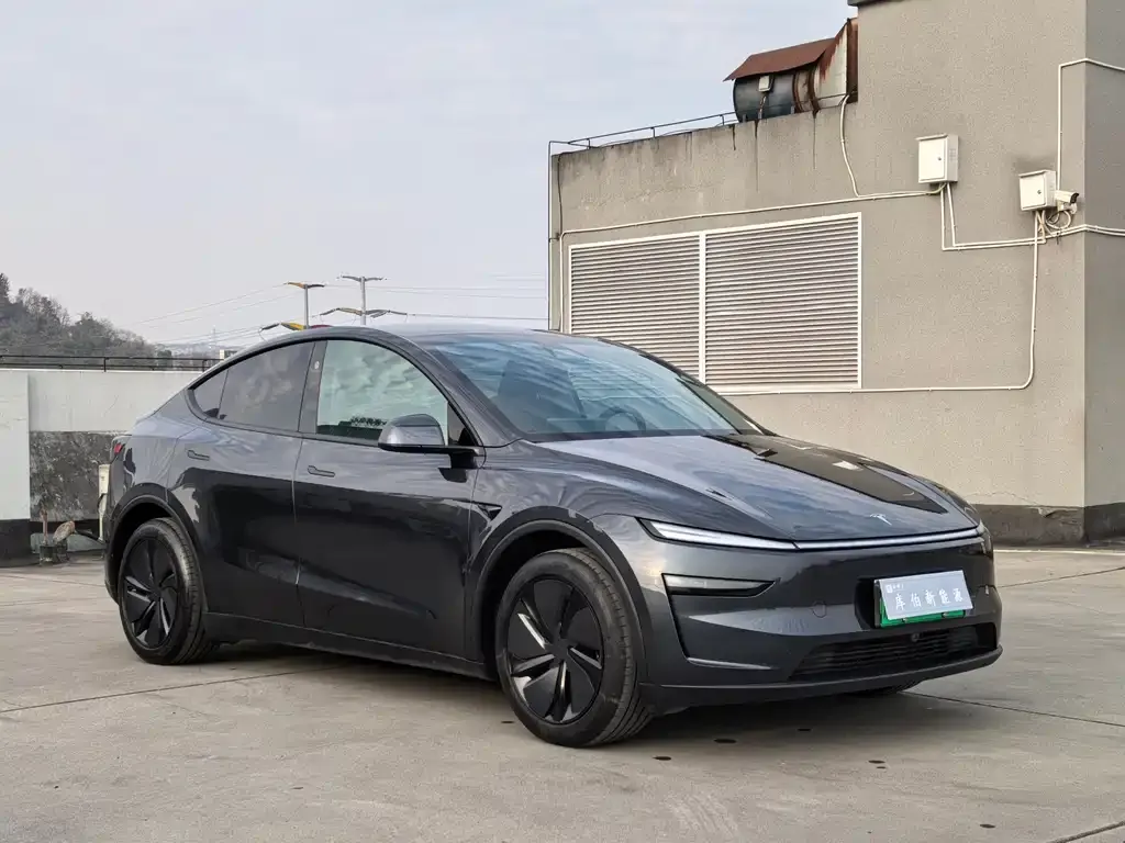 Tesla Model Y — фото 5